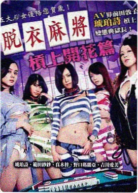 第九次开庭剧集封套